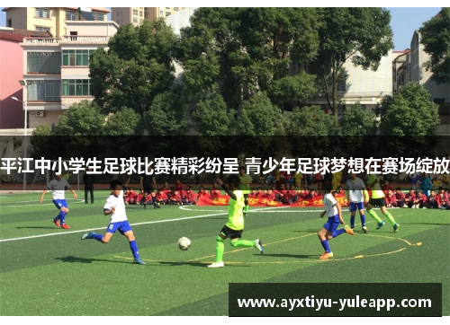 平江中小学生足球比赛精彩纷呈 青少年足球梦想在赛场绽放